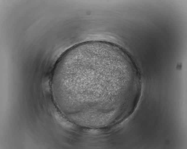 X0000112411497200908281802