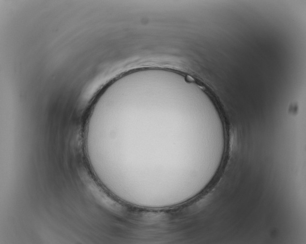 X0000112411498200908281802