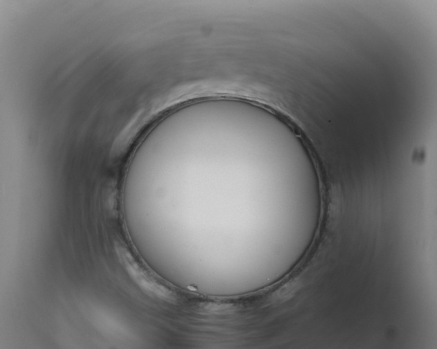 X0000112411499200908281802