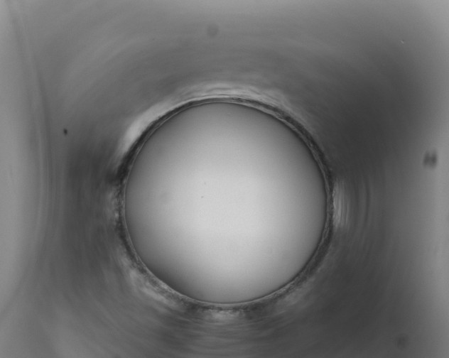 X0000112411501200908281802