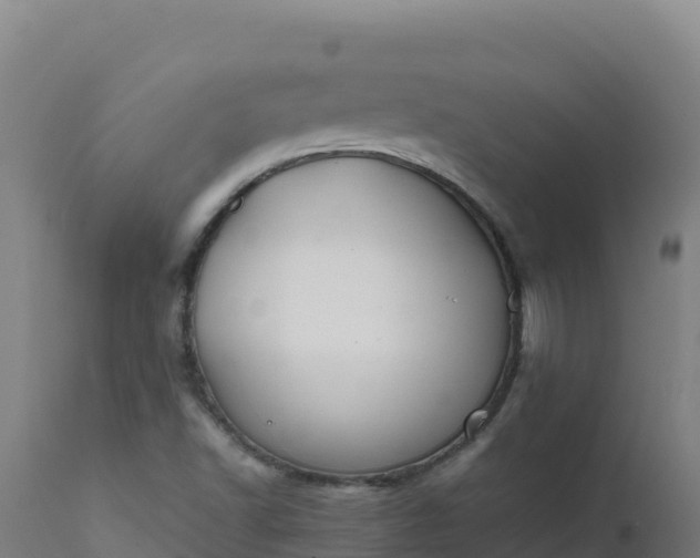 X0000112411502200908281802