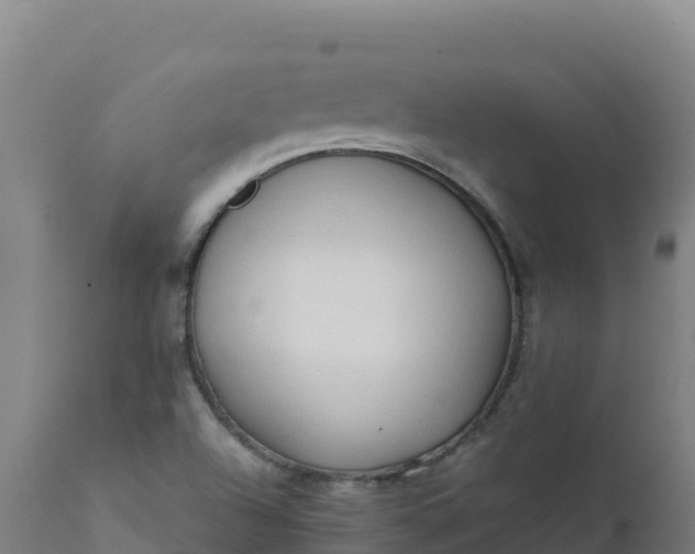 X0000112411504200908281802