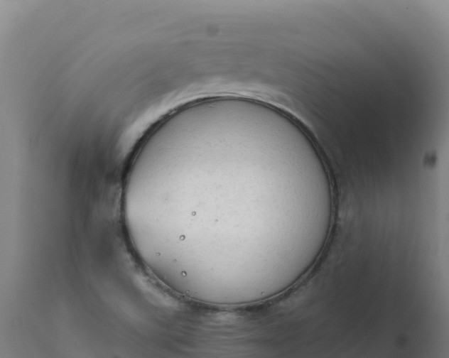 X0000112411507200908281802