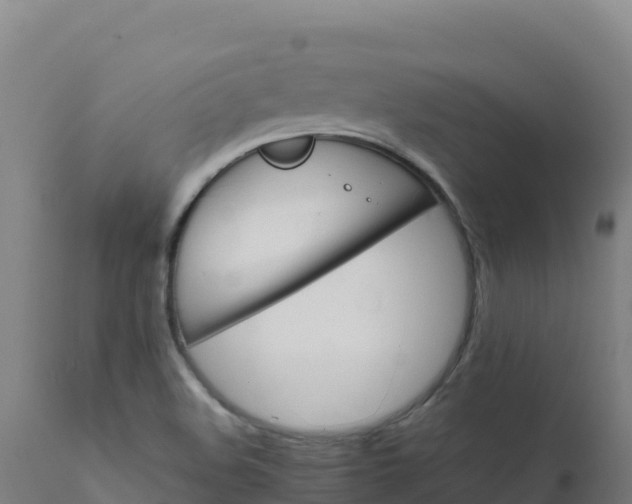 X0000112411508200908281802