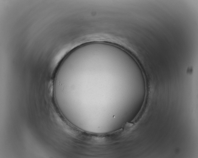 X0000112411509200908281802