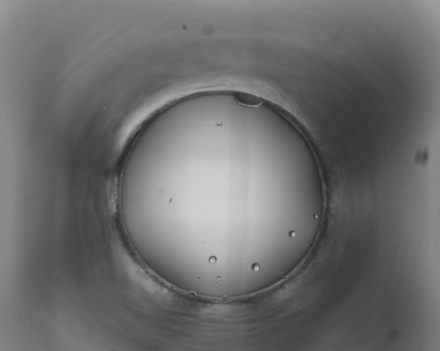 X0000112411510200908281802