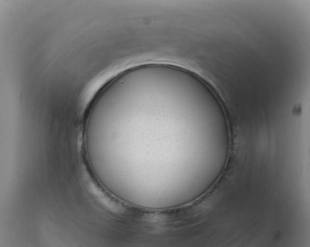 X0000112411511200908281802