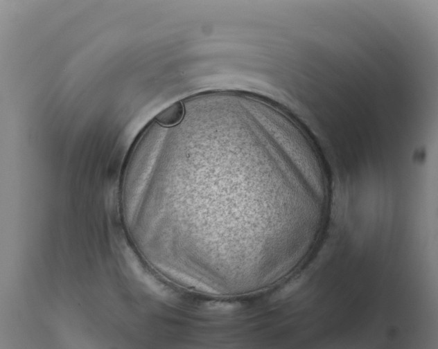 X0000112411513200908281802