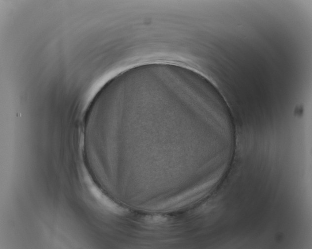 X0000112411515200908281802