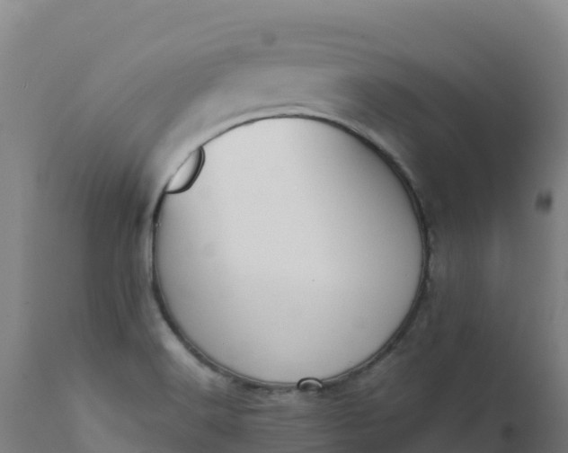 X0000112411516200908281802