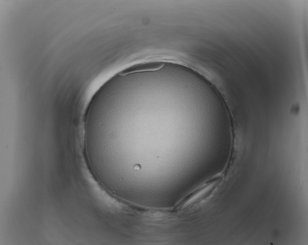 X0000112411520200908281802