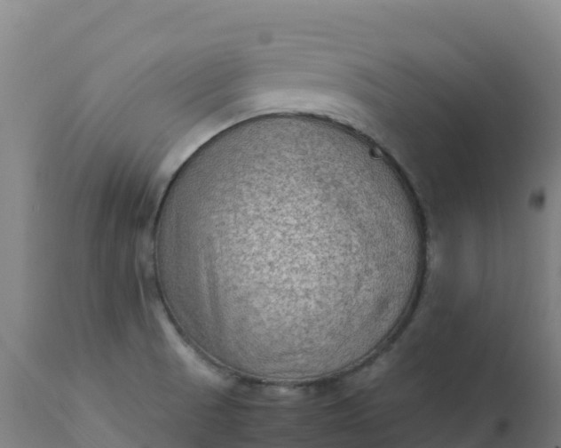 X0000112411521200908281802