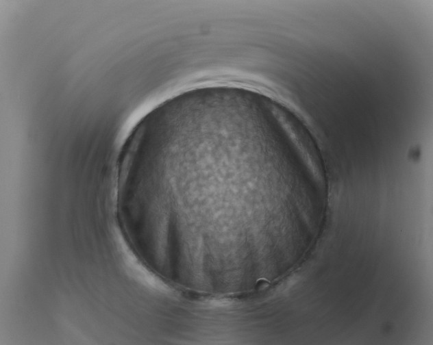 X0000112411522200908281802