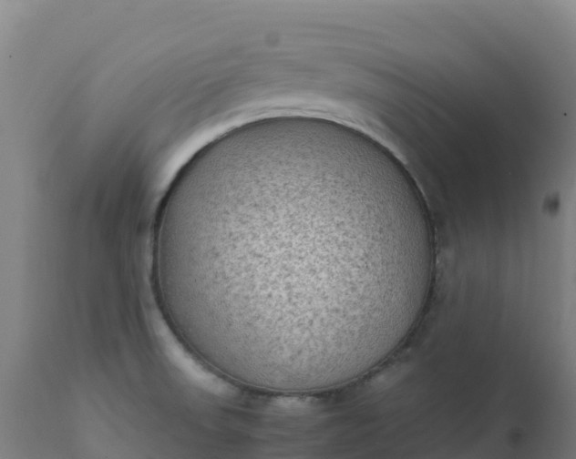 X0000112411523200908281802