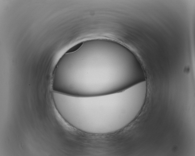 X0000112411524200908281802