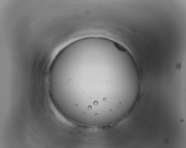 X0000112411526200908281802