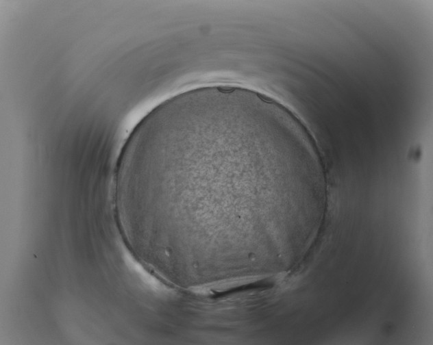 X0000112411527200908281802