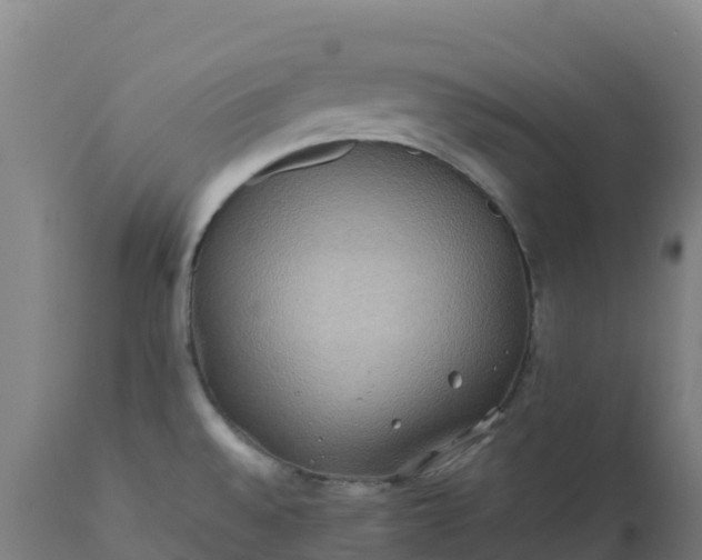 X0000112411528200908281802