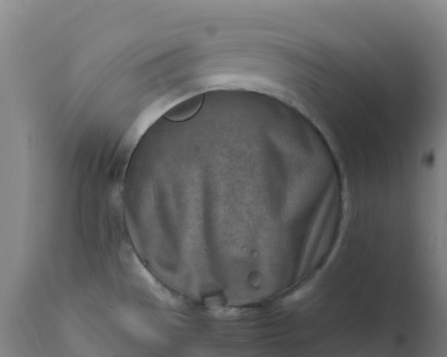 X0000112411529200908281802