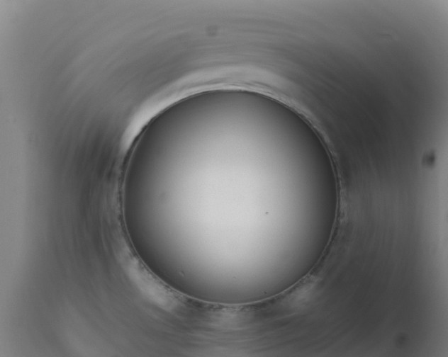 X0000112411530200908281802