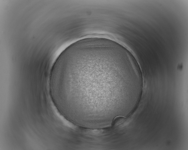 X0000112411533200908281802