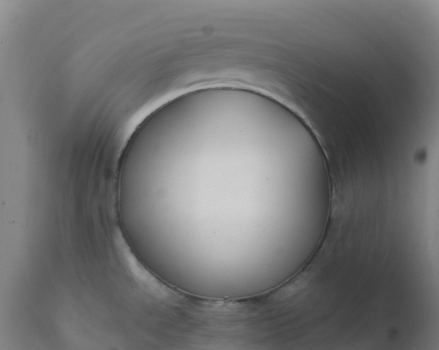 X0000112411534200908281802