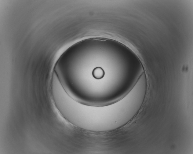 X0000112411536200908281802