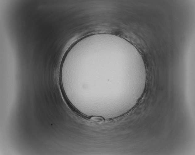 X0000112410003200909041406