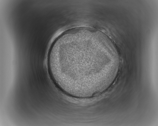 X0000112410006200909041406