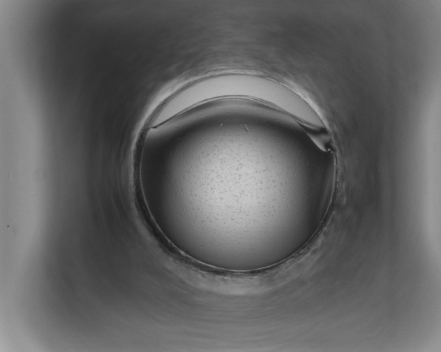X0000112410008200909041406