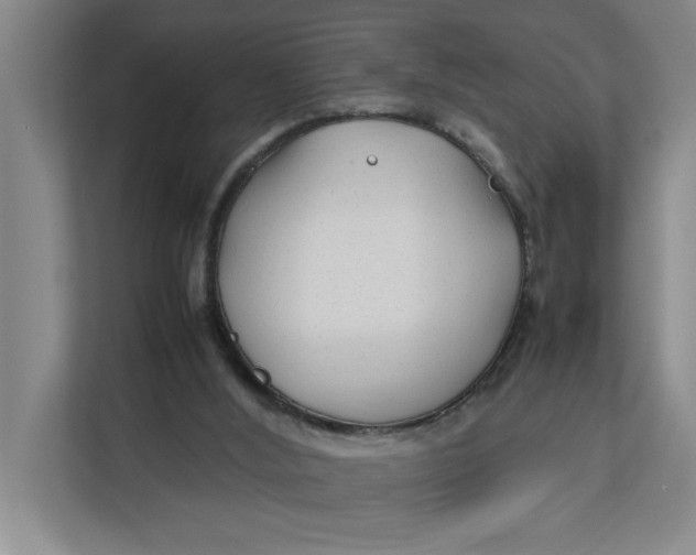 X0000112410012200909041406