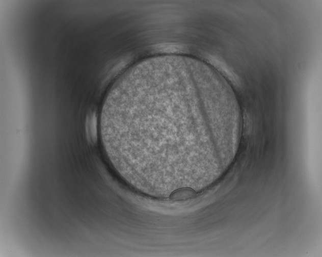 X0000112410014200909041406