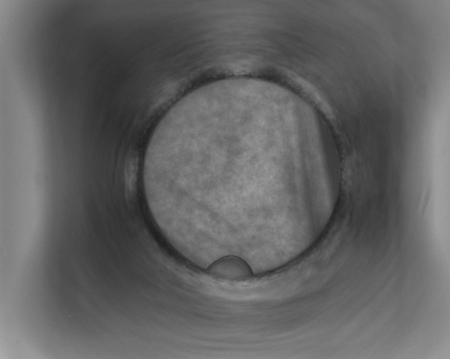 X0000112410018200909041406