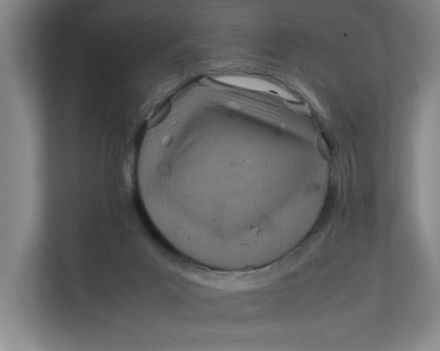 X0000112410023200909041405