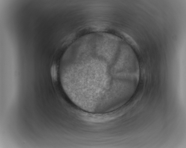 X0000112410026200909041405