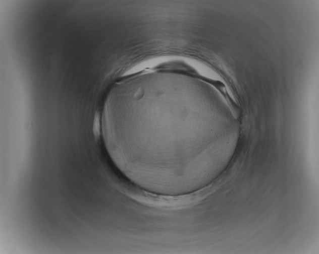 X0000112410027200909041405