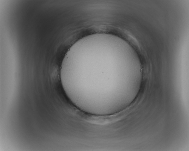 X0000112410029200909041405