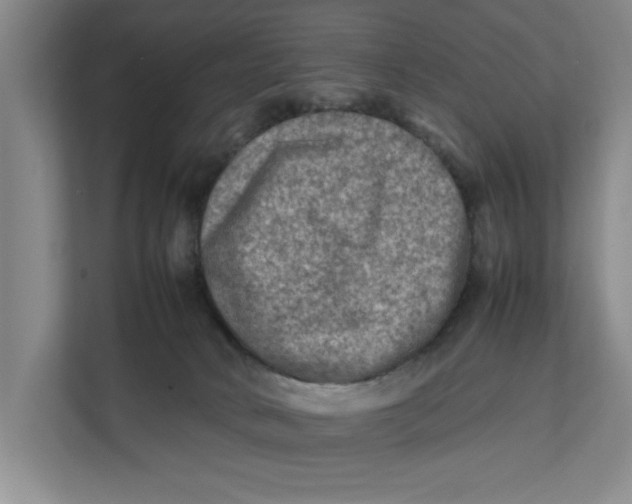 X0000112410034200909041405