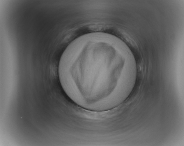 X0000112410035200909041405