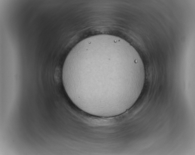 X0000112410036200909041405