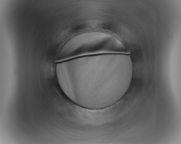 X0000112410039200909041405