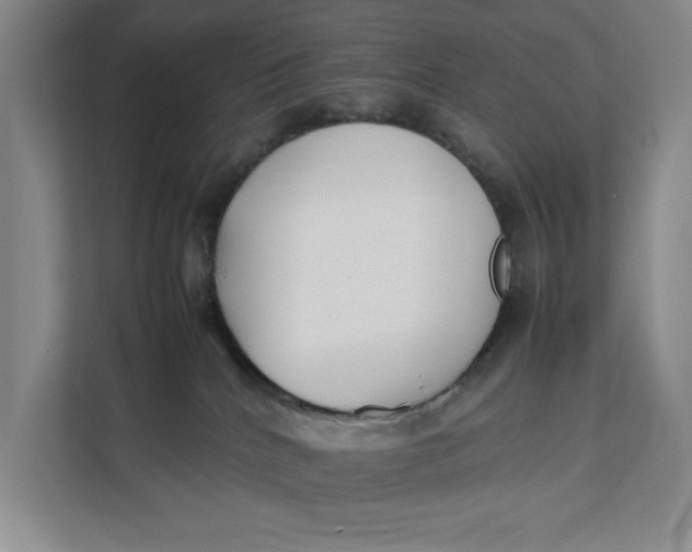 X0000112410040200909041405