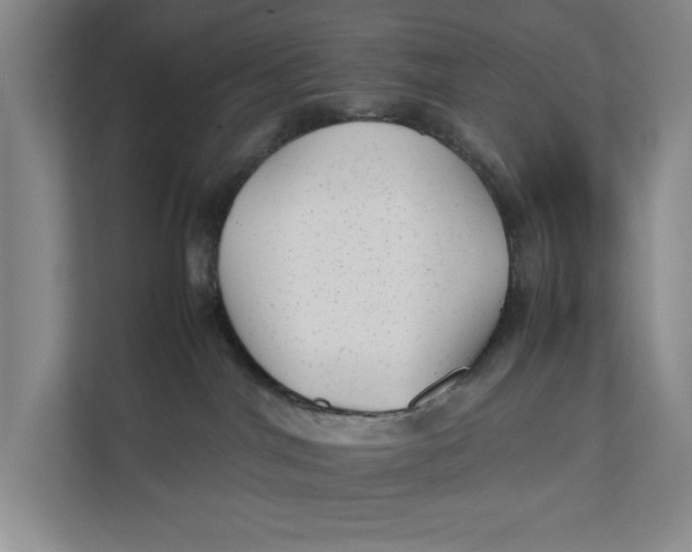 X0000112410044200909041405