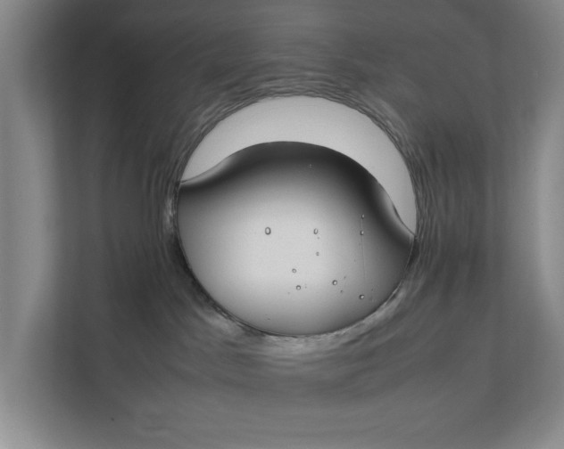 X0000112410045200909041405