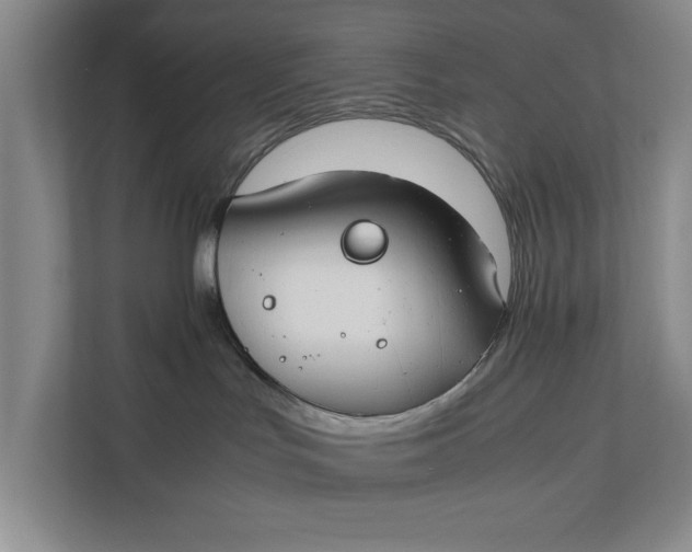 X0000112410047200909041405