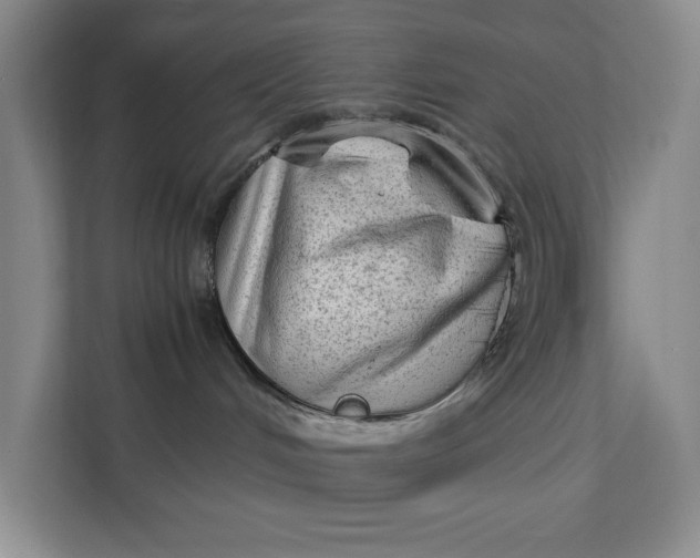 X0000112410048200909041405