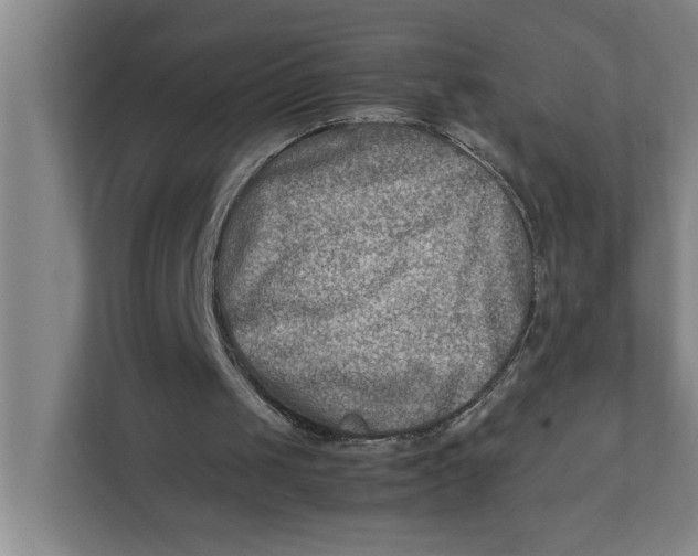 X0000112410049200909041404