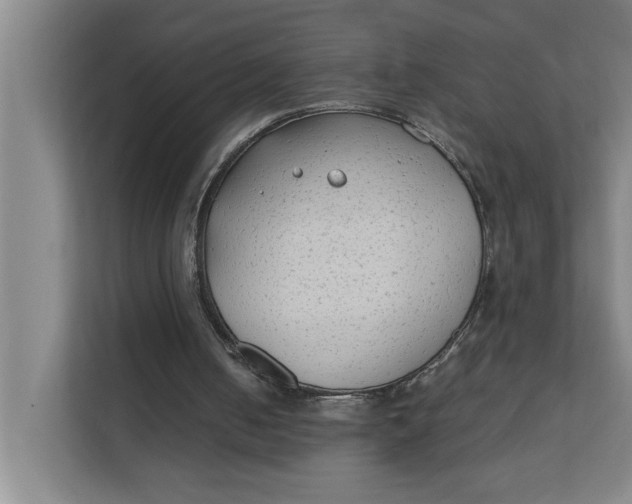 X0000112410050200909041404