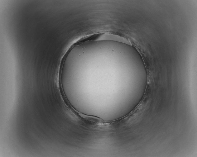 X0000112410052200909041405