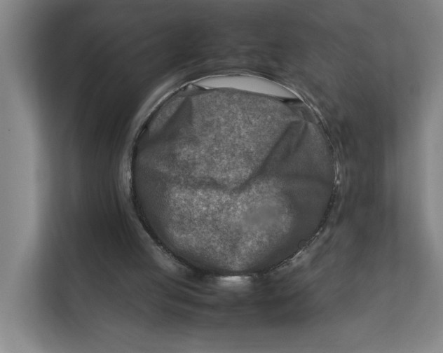 X0000112410053200909041405